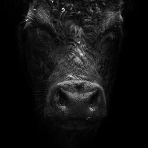 Meet your Posher, Jose